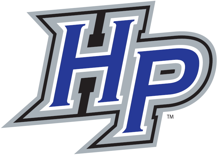 High Point Panthers 2004-2011 Alternate Logo v6 diy fabric transfer